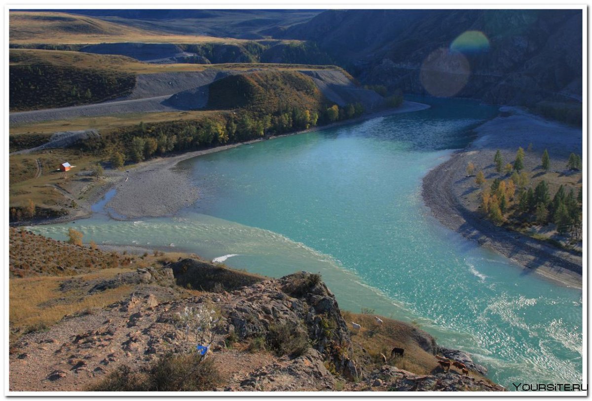 Слияние двух рек горный Алтай