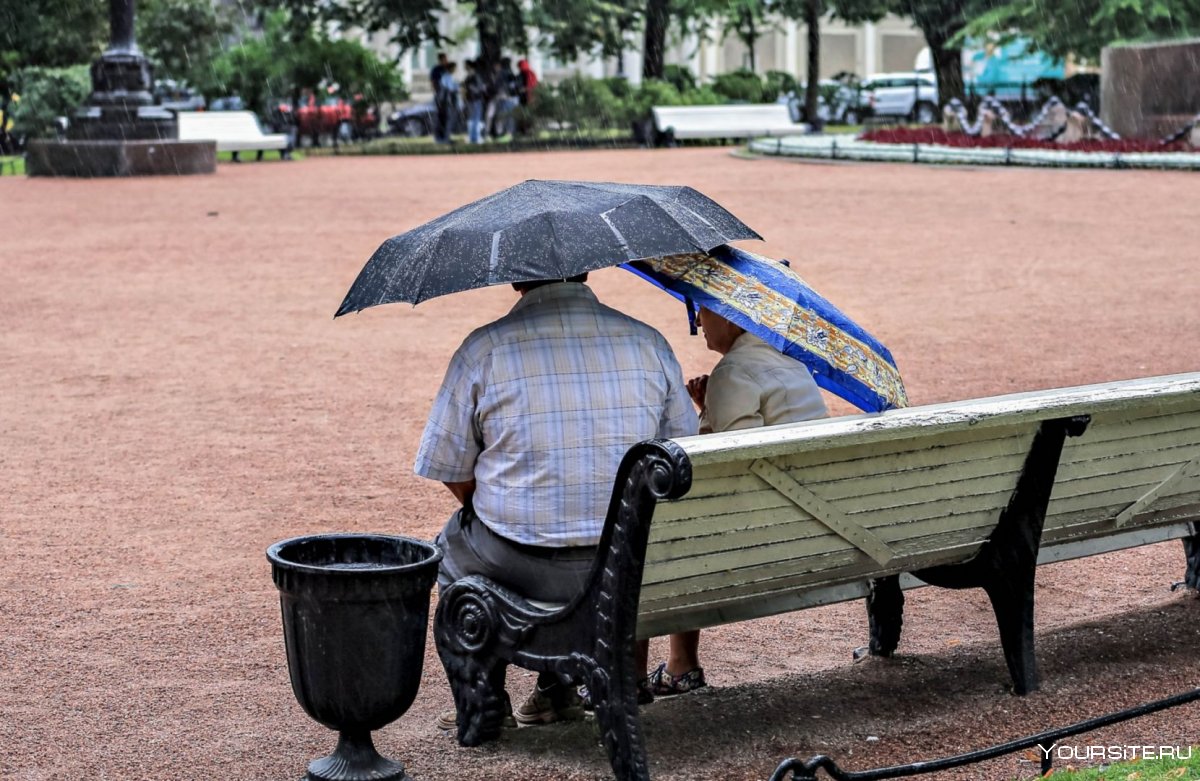 Парк человек с зонтом