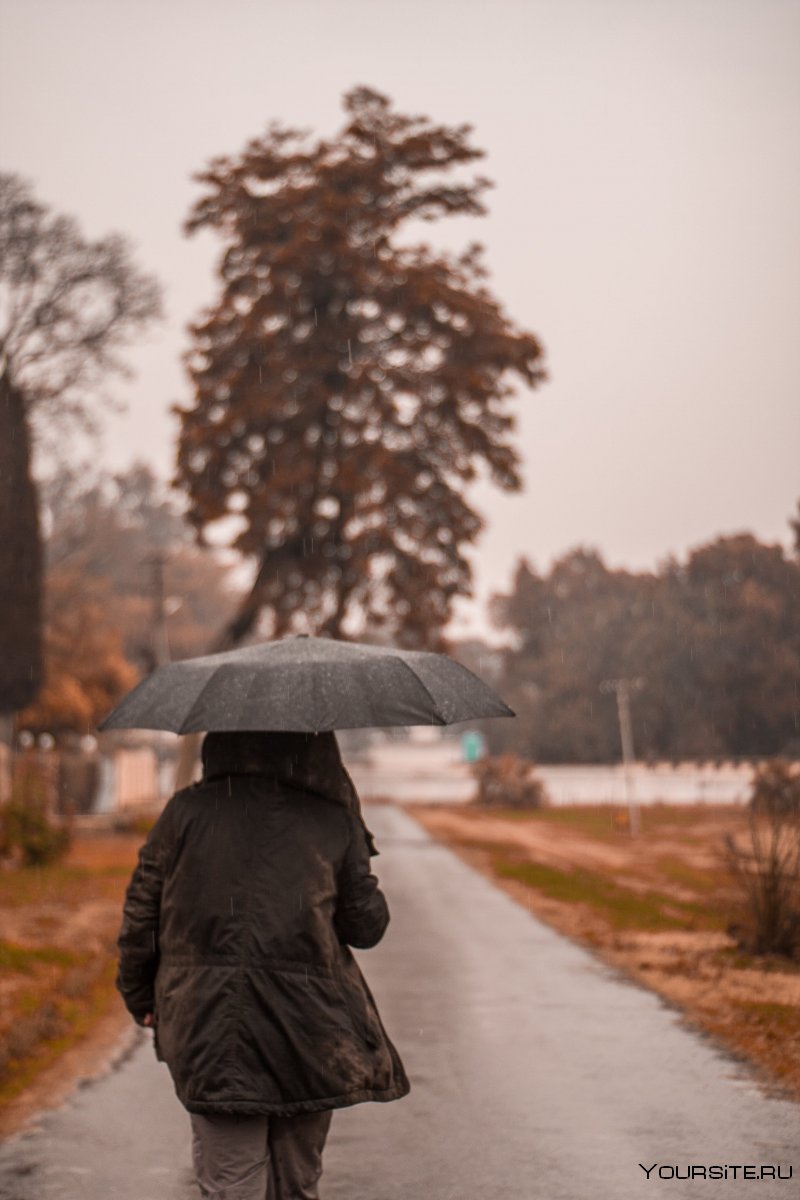 Люди идущие под зонтом осенью