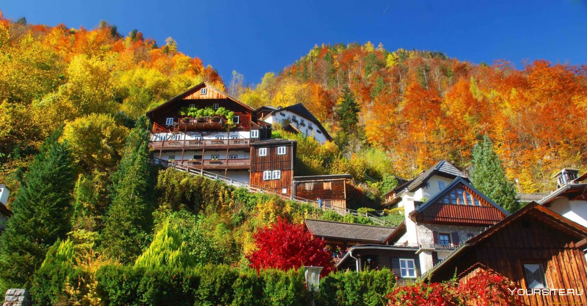 Цуг Швейцария дом в лесу