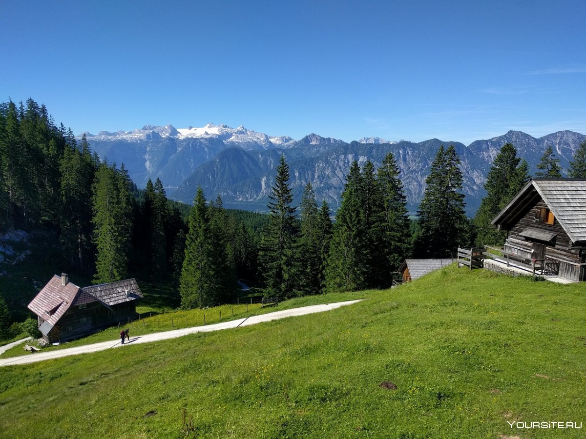Альпийские Луга Австрии