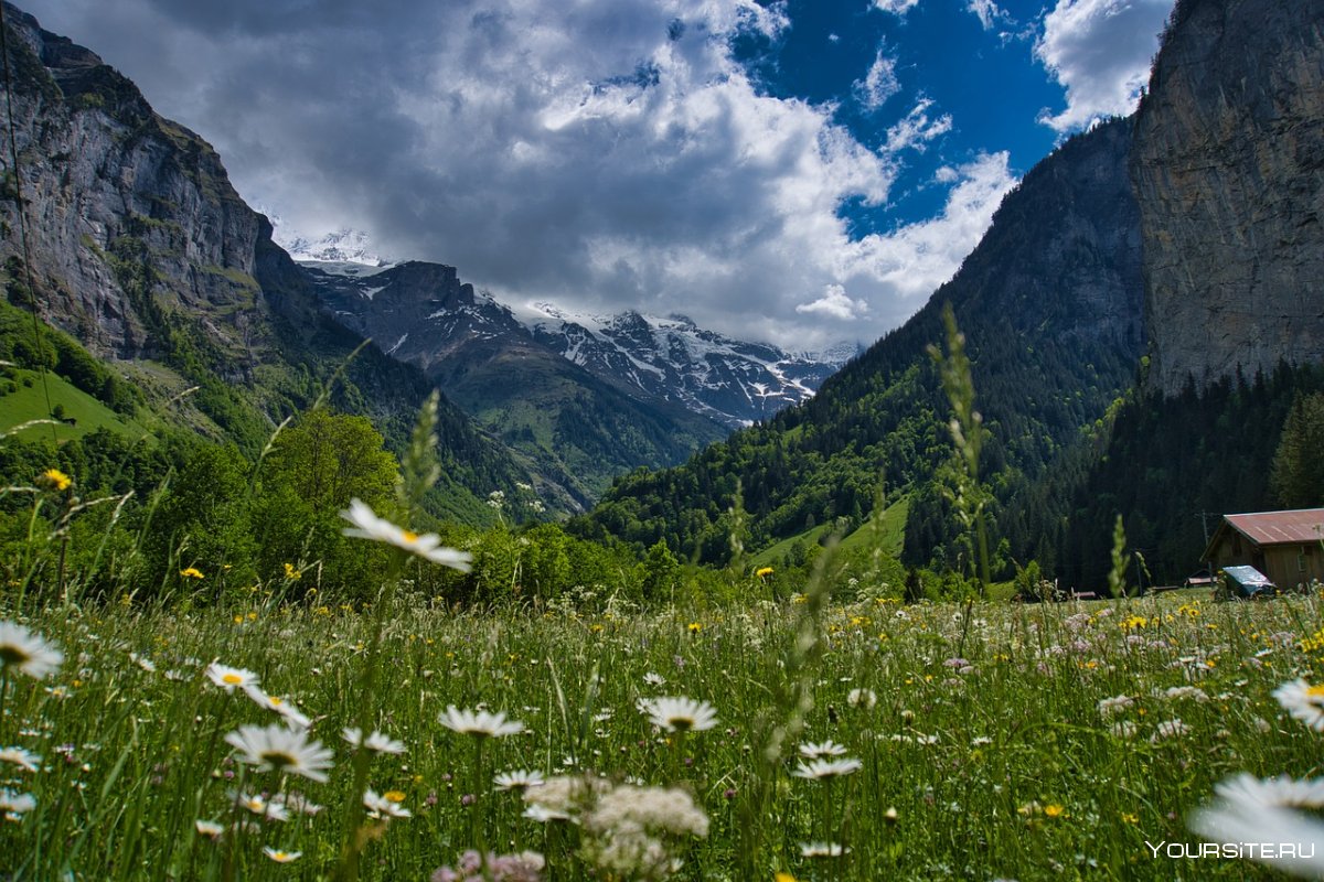 Альпийские Луга Швейцарии Лаутербруннен