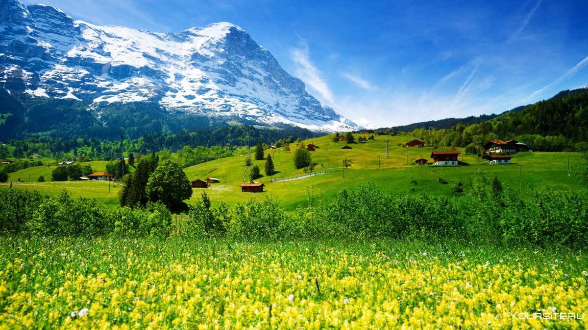 Альпийский луг Швейцария