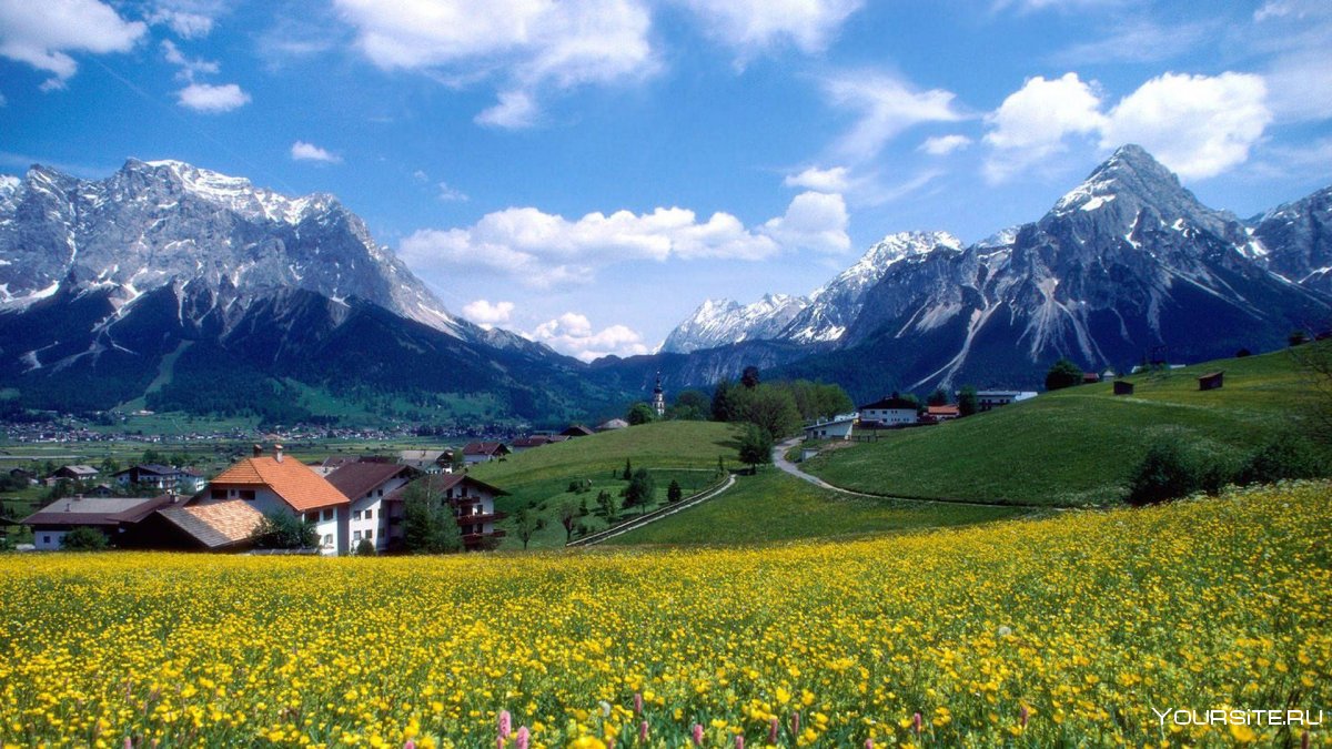 Швейцария Альпы Луга