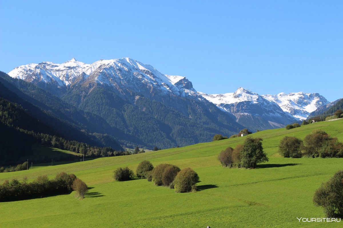 Альпийский зеленый луг