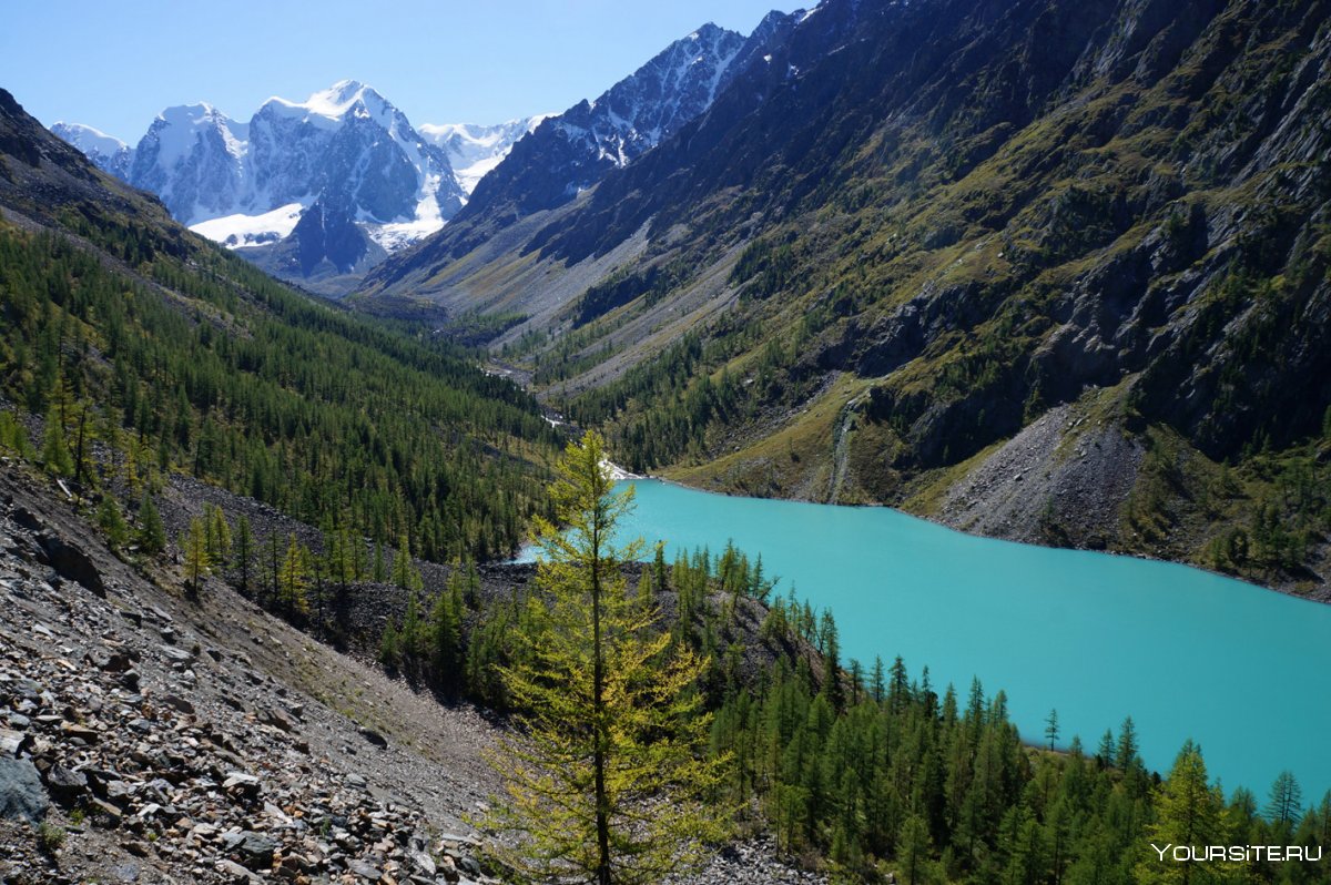 Форелевое озеро горный Алтай