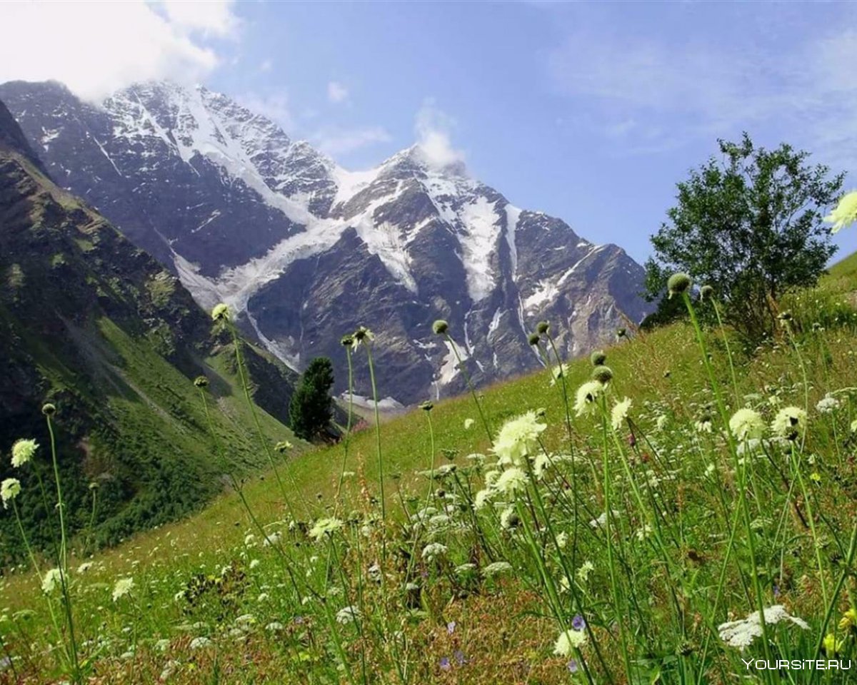 Кавказ гора Чегет