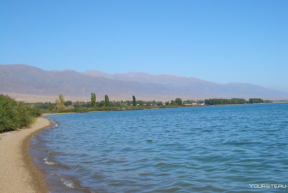 Тамчи озеро Иссык-Куль