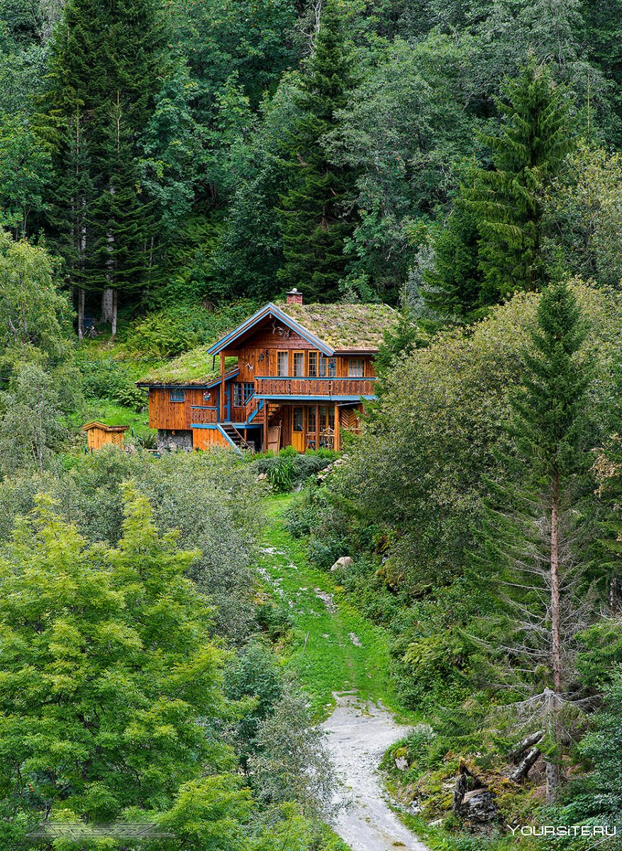 Дом на горе в лесу