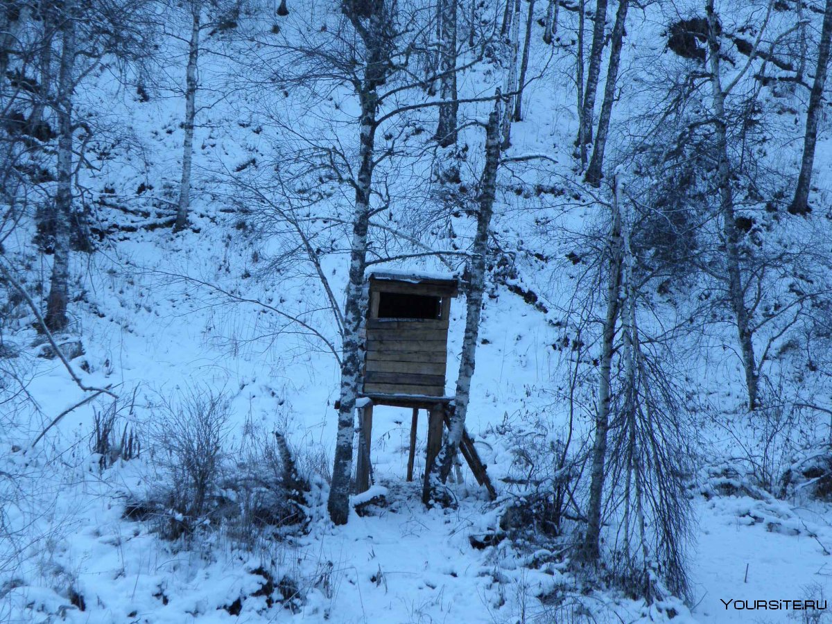 Лабаз Ясногорск