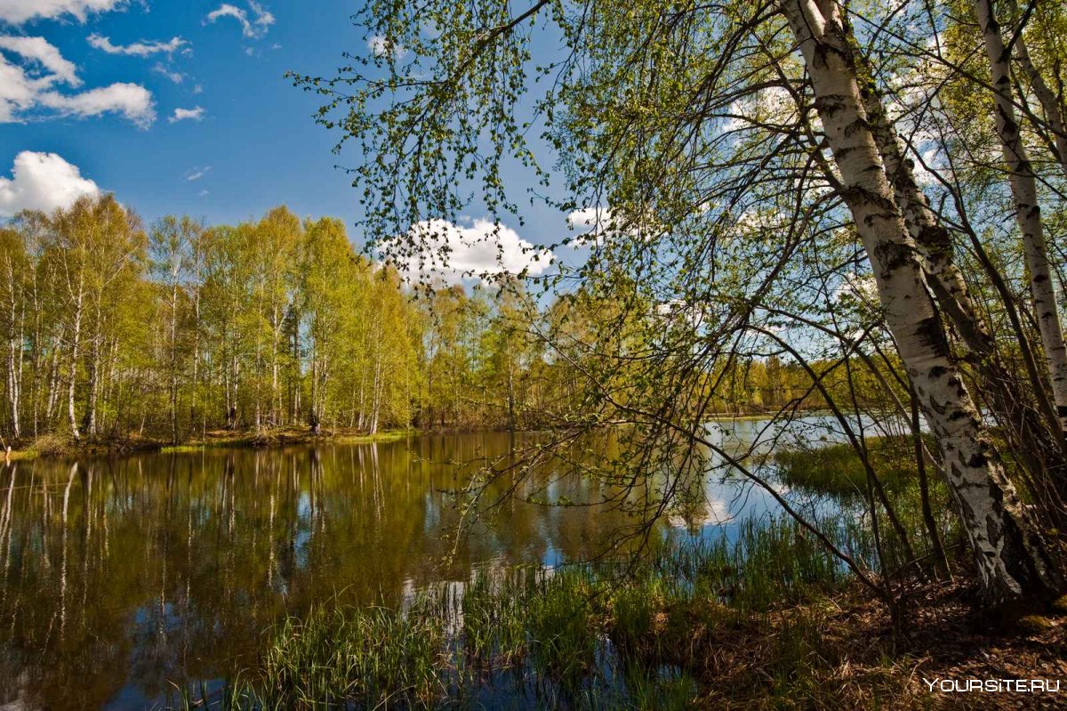 Озера Финляндии