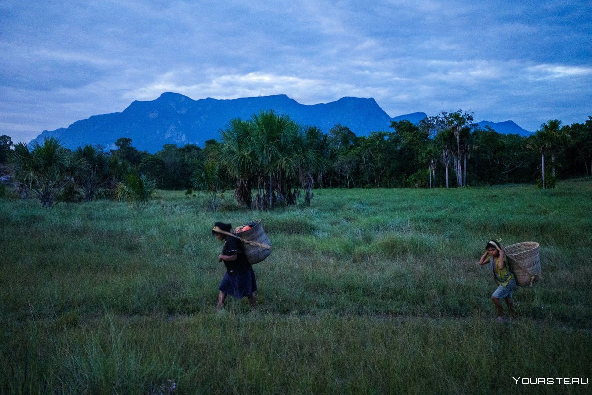Эквадор «с индейцами в джунглях амазонки»