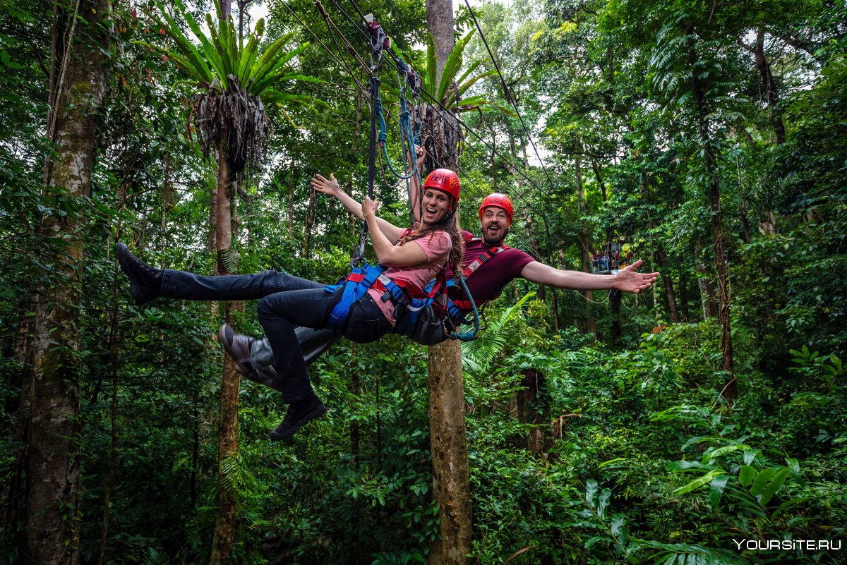 Туризм в джунглях