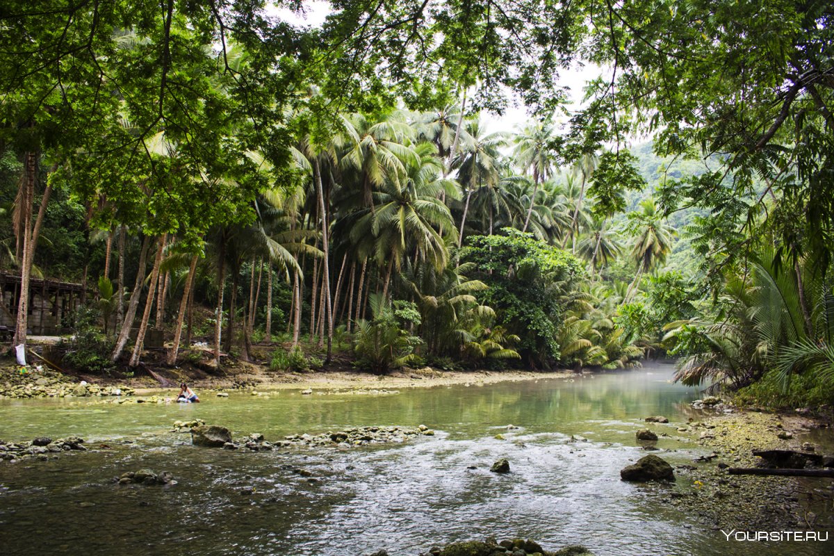 Кокосовый остров-джунгли Вьетнам