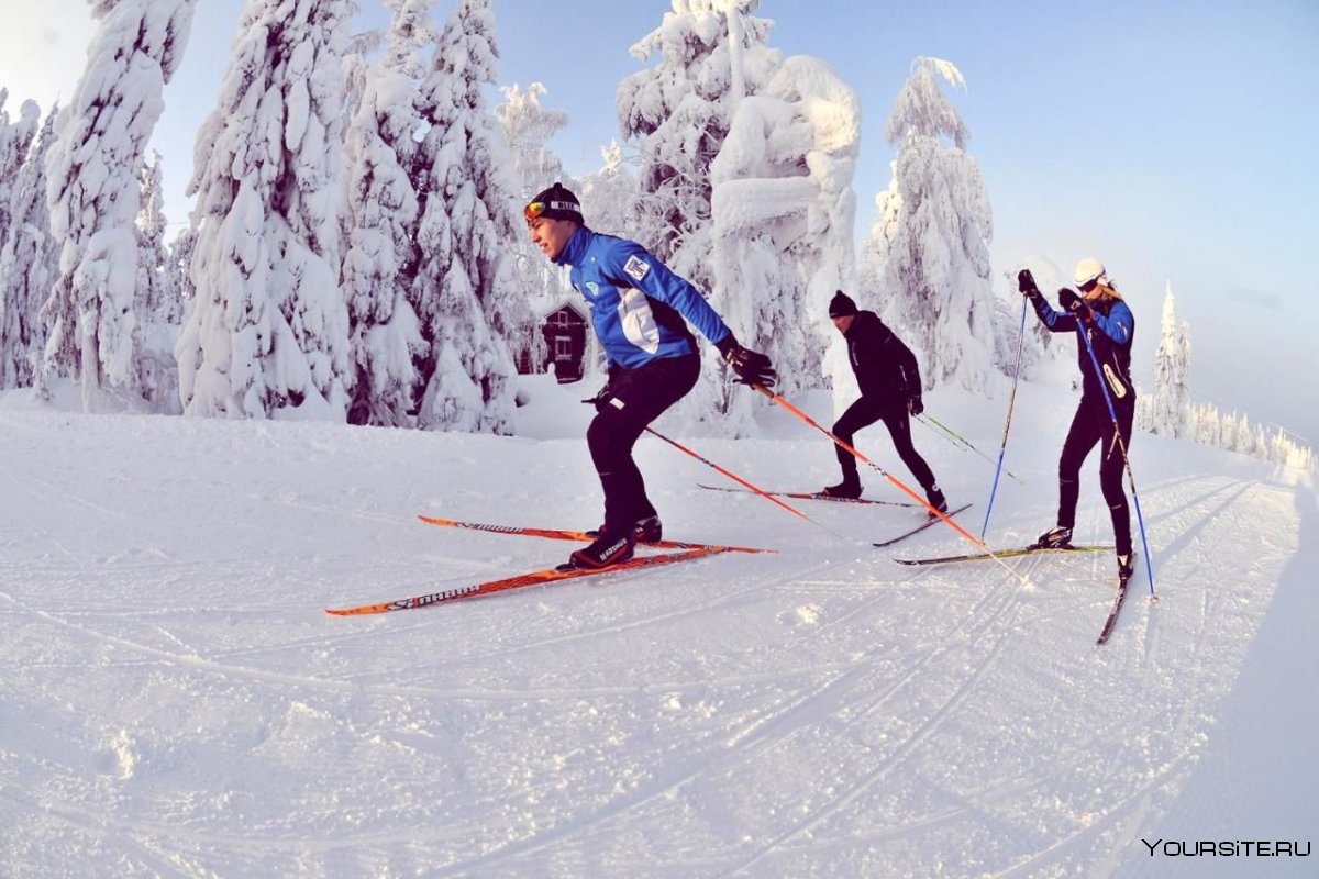 Вуокатти Финляндия лыжи