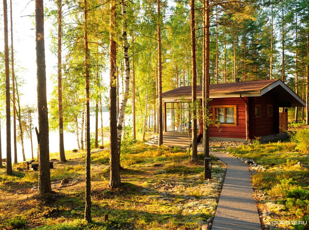 Лапландия Финляндия летом