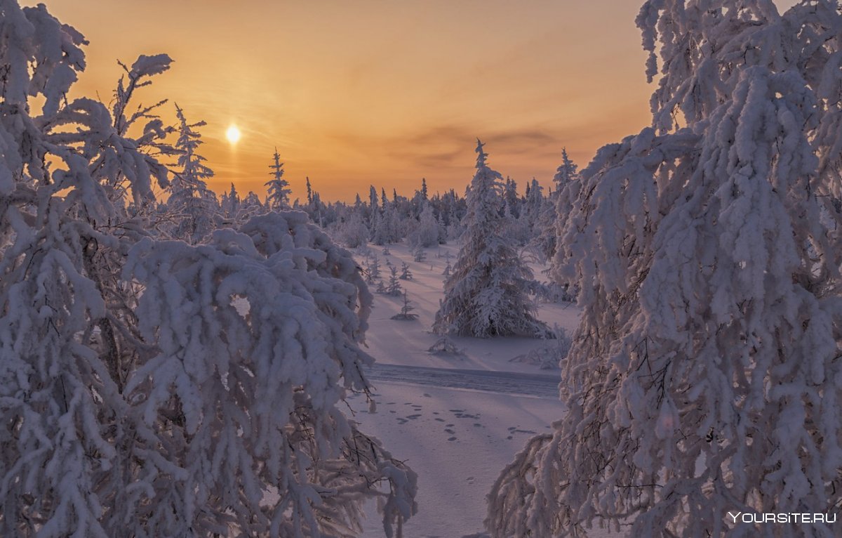 Северное сияние Ямал ненцы