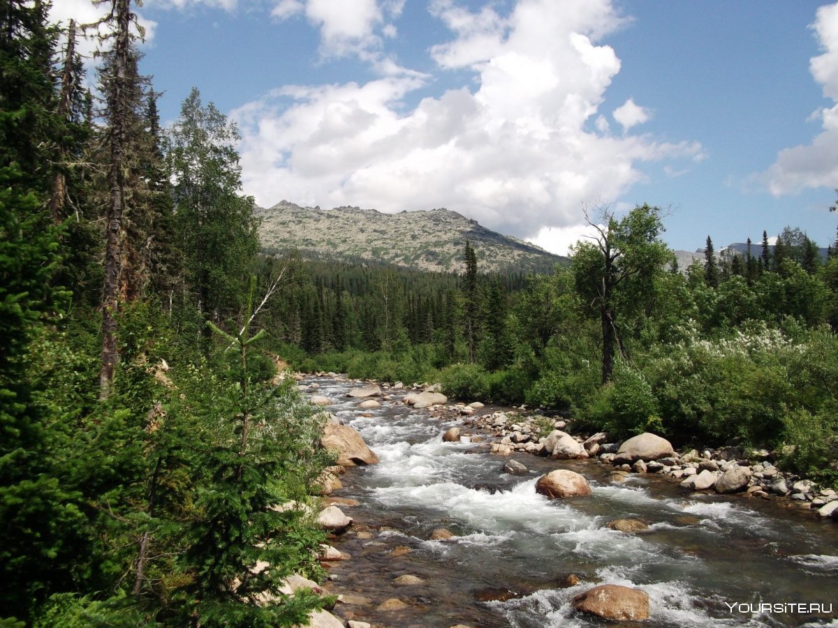 Тайжесу Поднебесные зубья