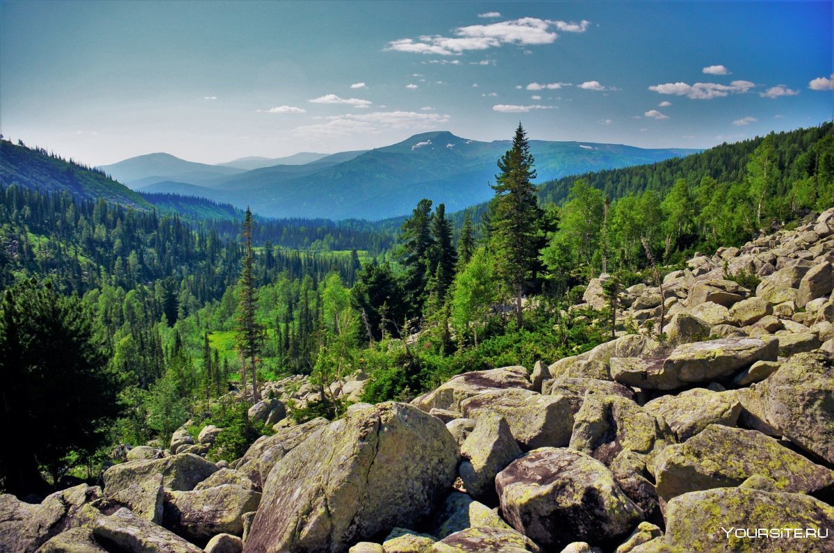Кузнецкий Алатау курумник