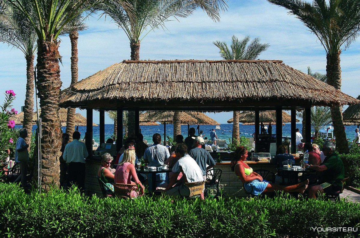 Пляжный бар Египта
