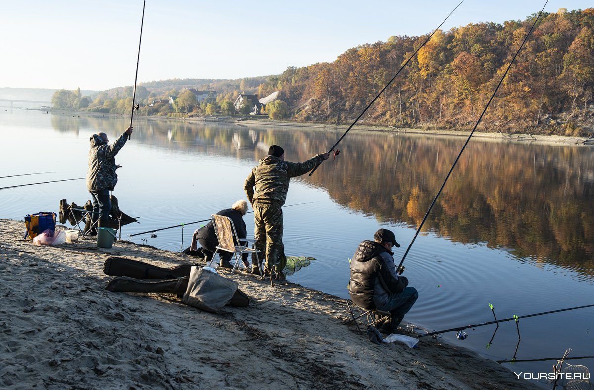 Осенняя рыбалка в Серебряном Бору