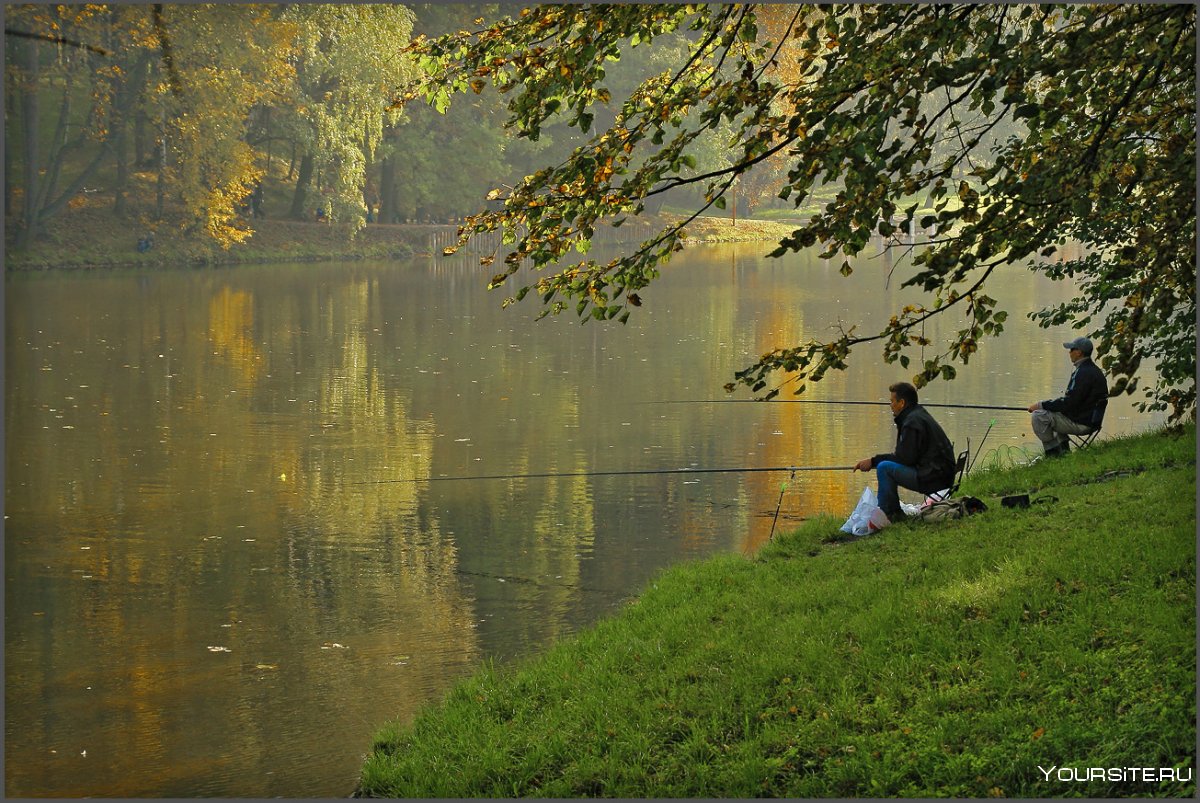 Осень природа рыбалка