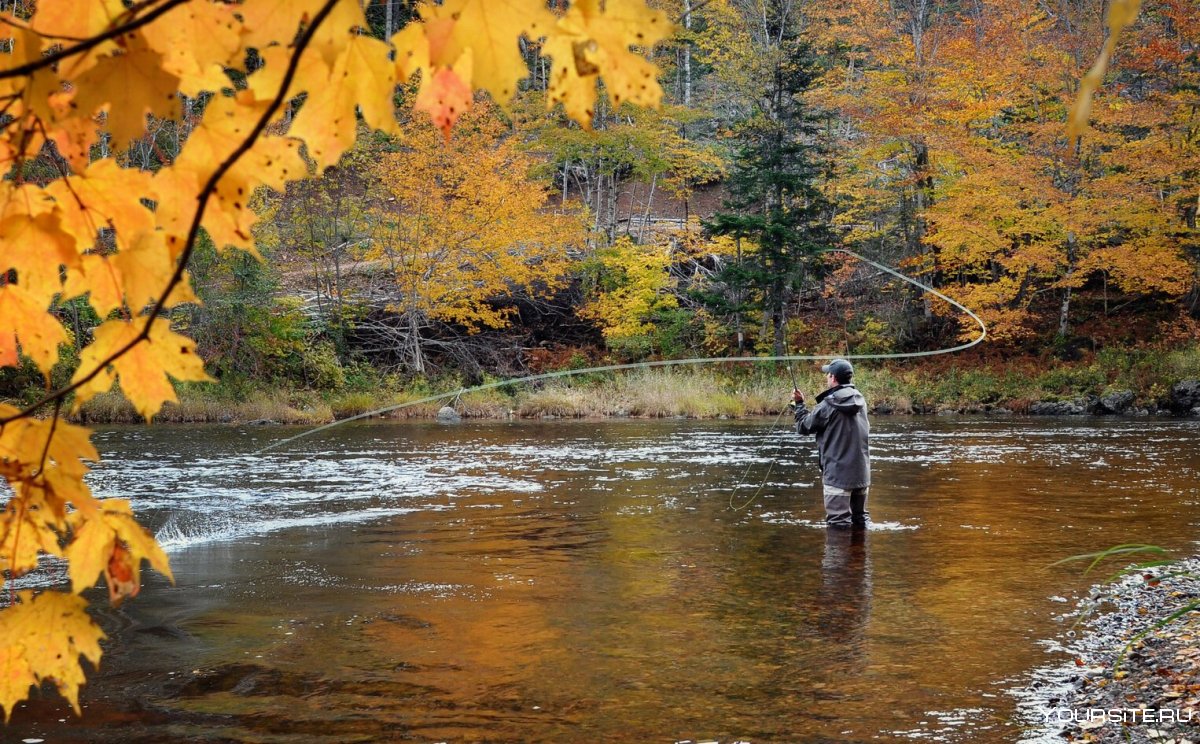 Рыбалка на озере осенью