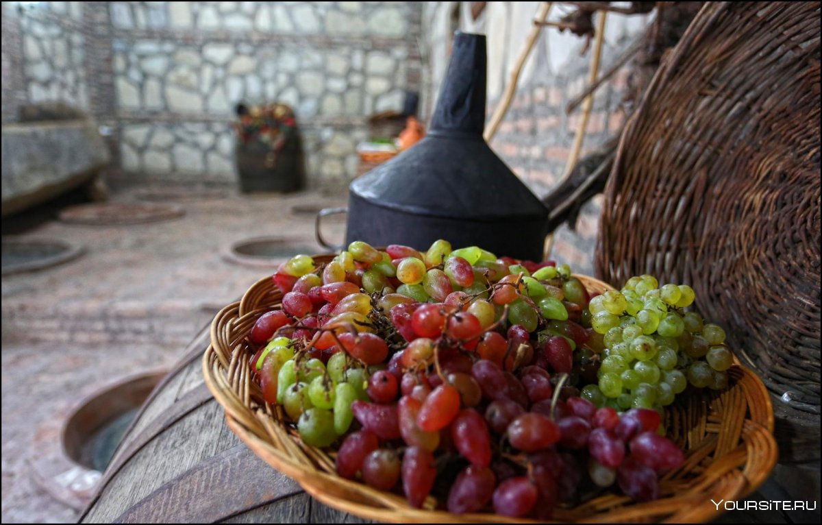 Виноградник висячий