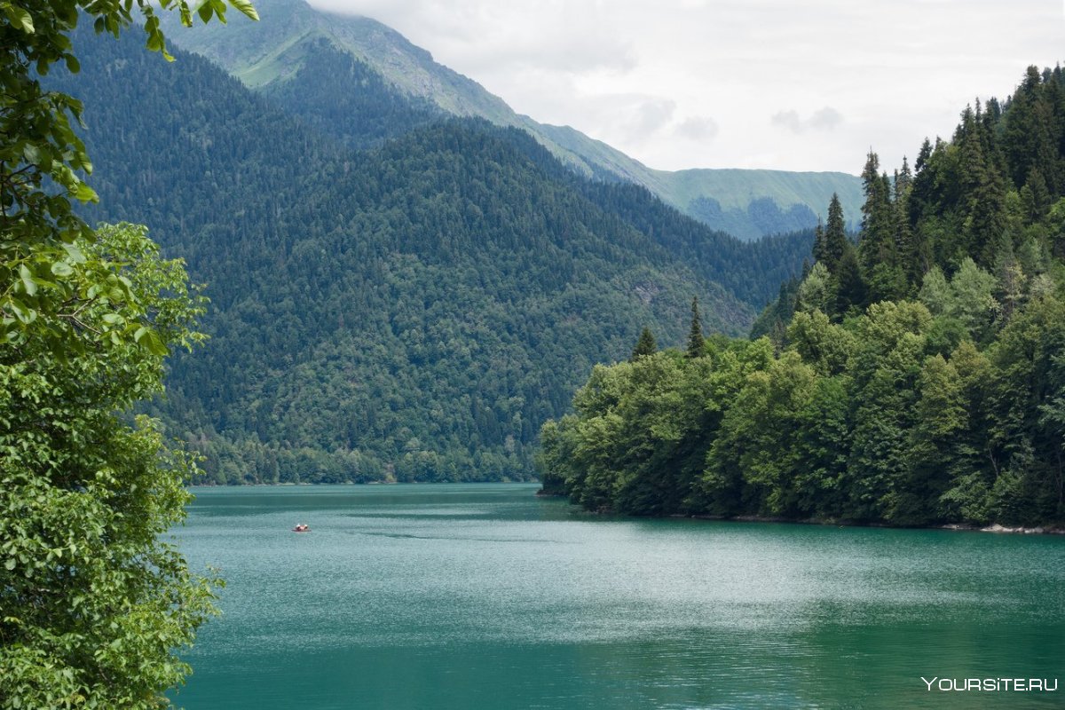 Пицунда Рица