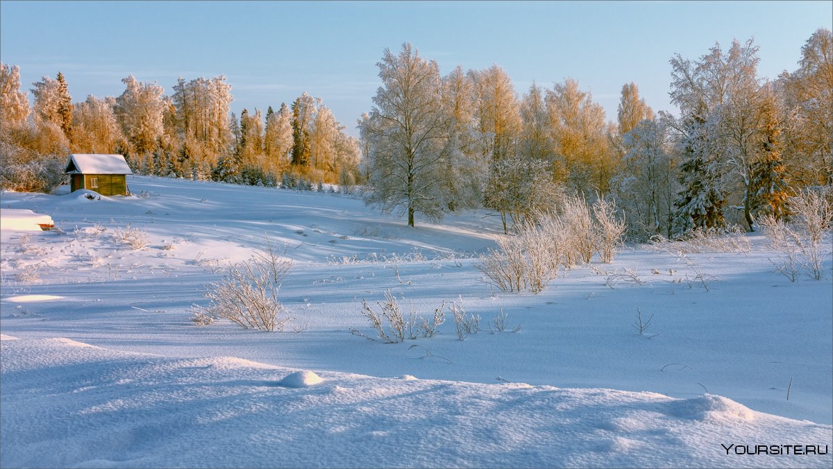 Зимняя Лесная опушка