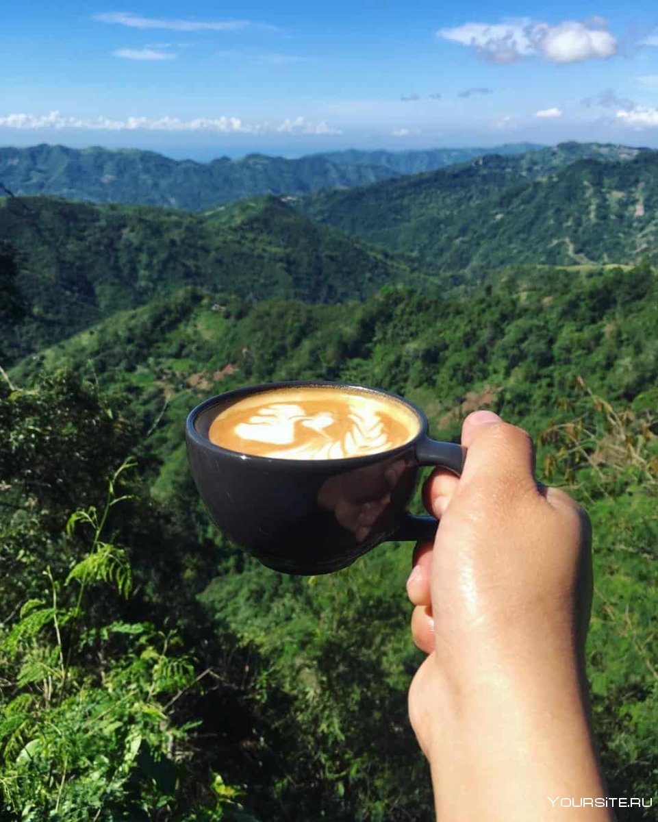 Красивая картинка горы кофе