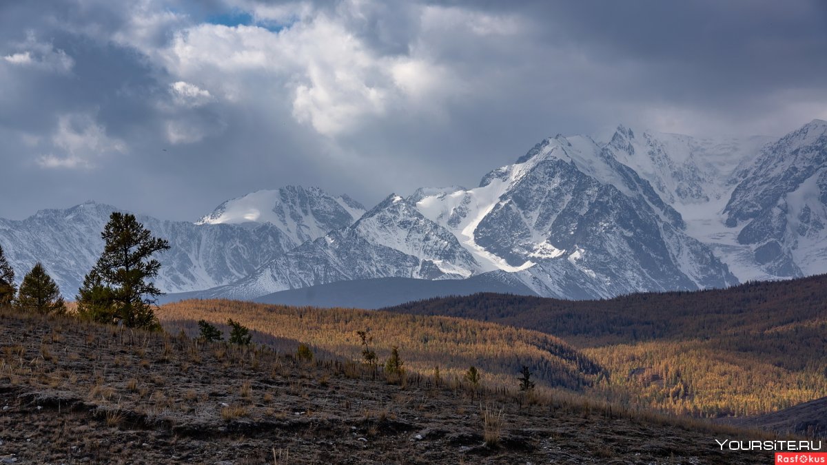 Карагем Алтай