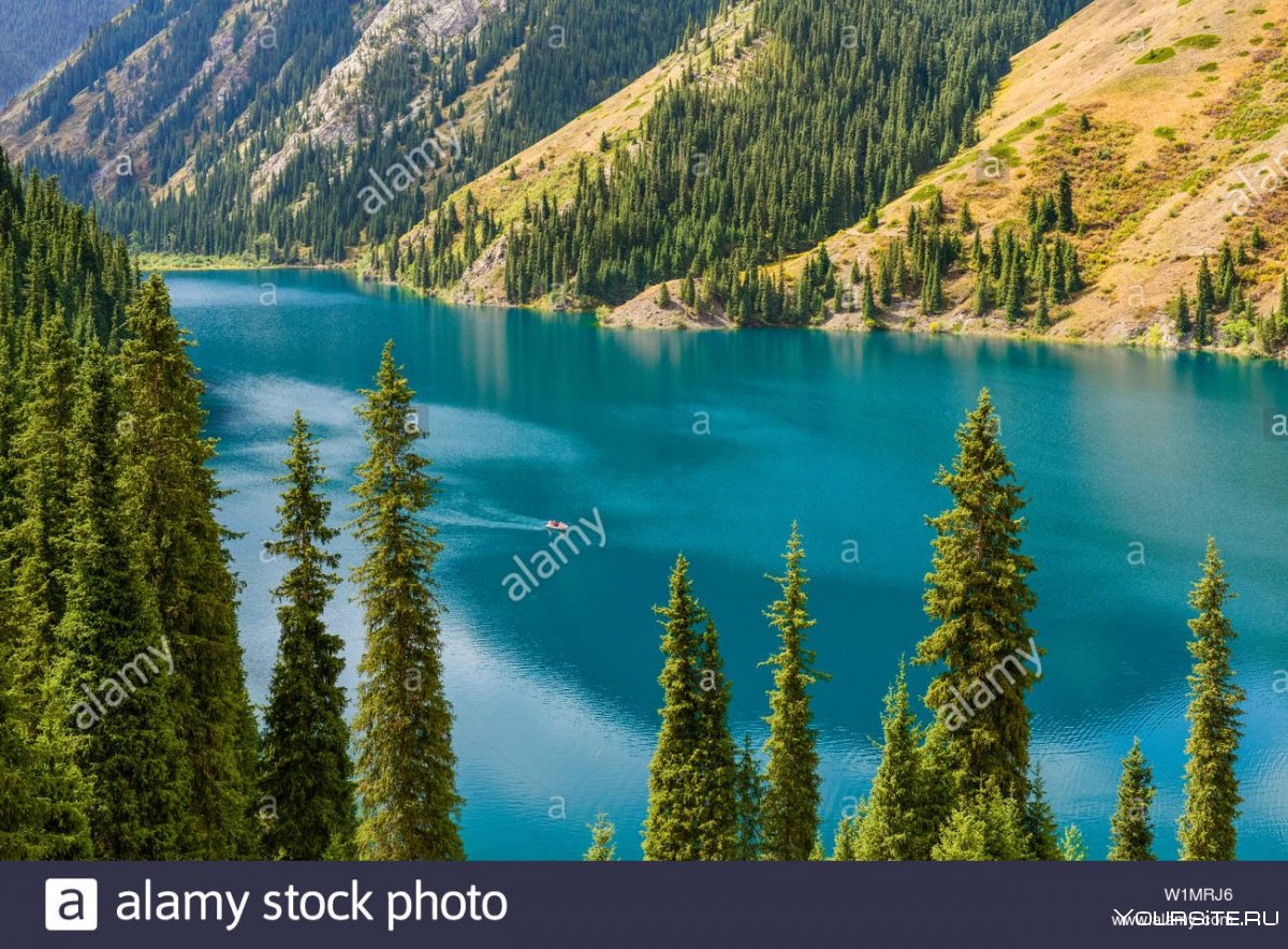 Северный Казахстан Кольсайские озера