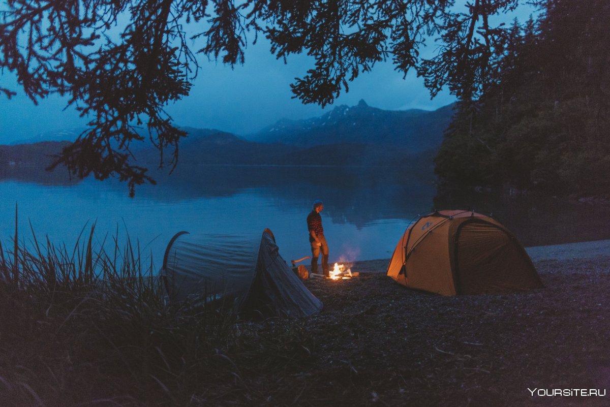 Палатка в ночном лесу