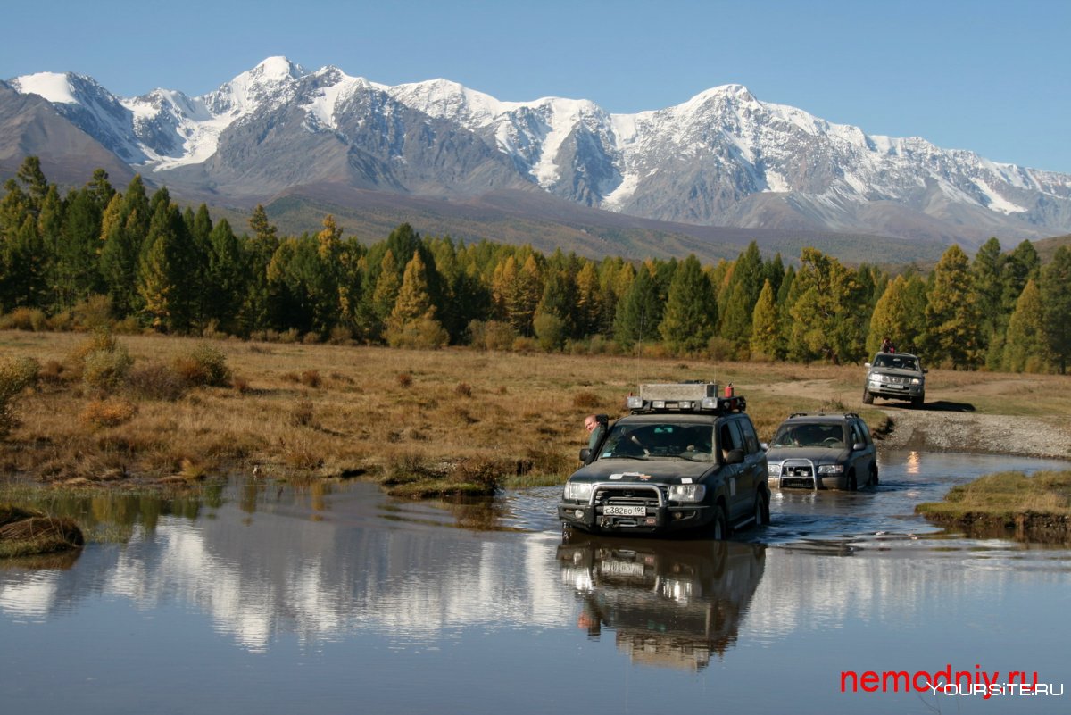 Джиппинг горный Алтай