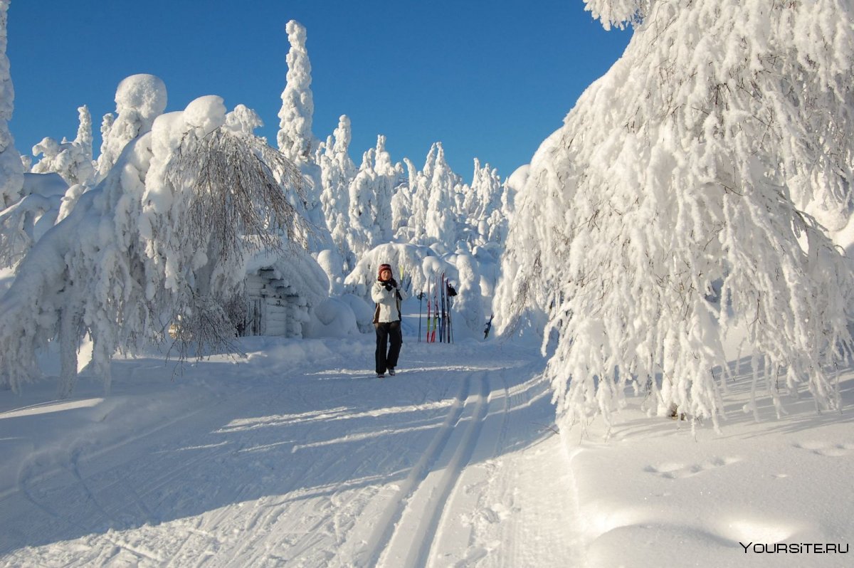 Леви курорт Финляндия Лыжня