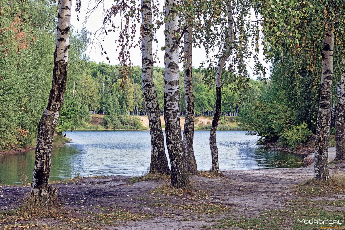 Озеро Березка Нижегородская