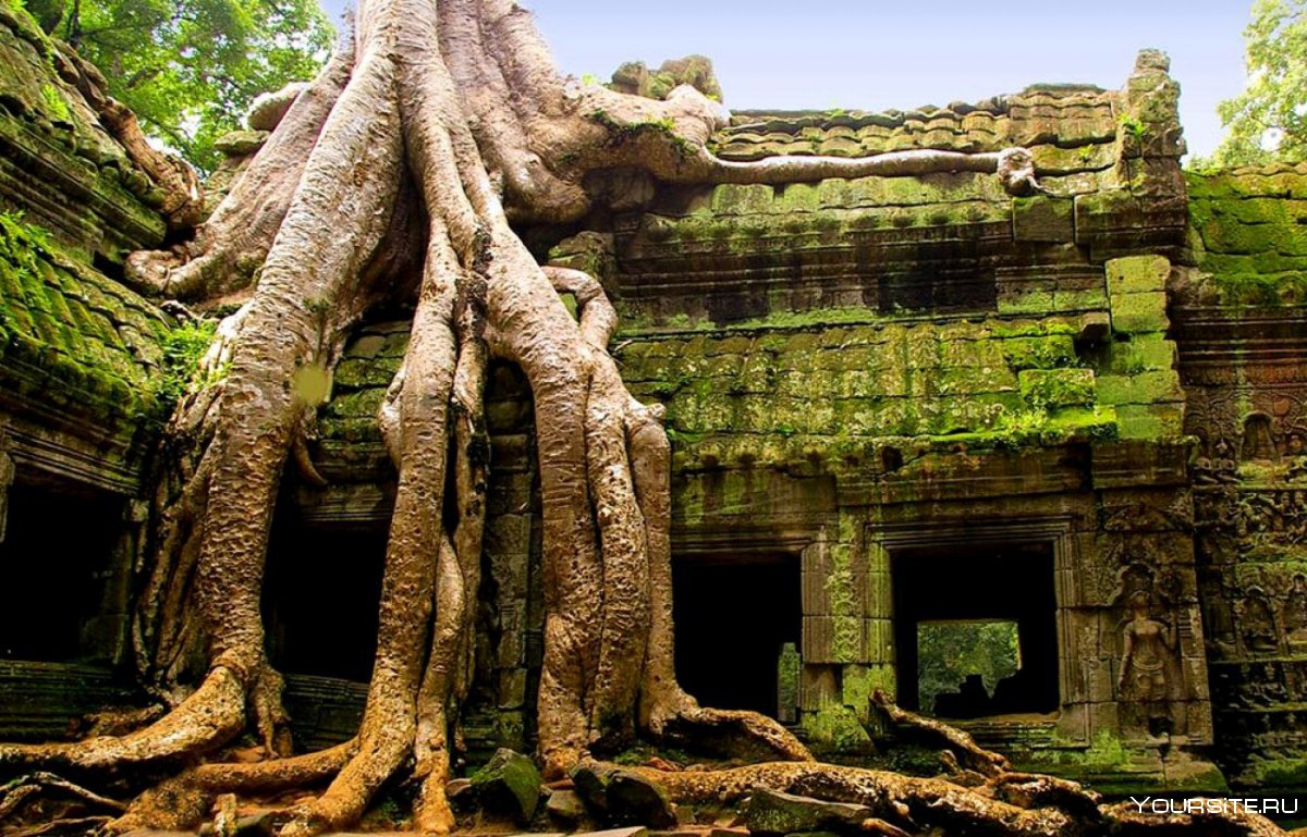 Храм та Пром Камбоджа