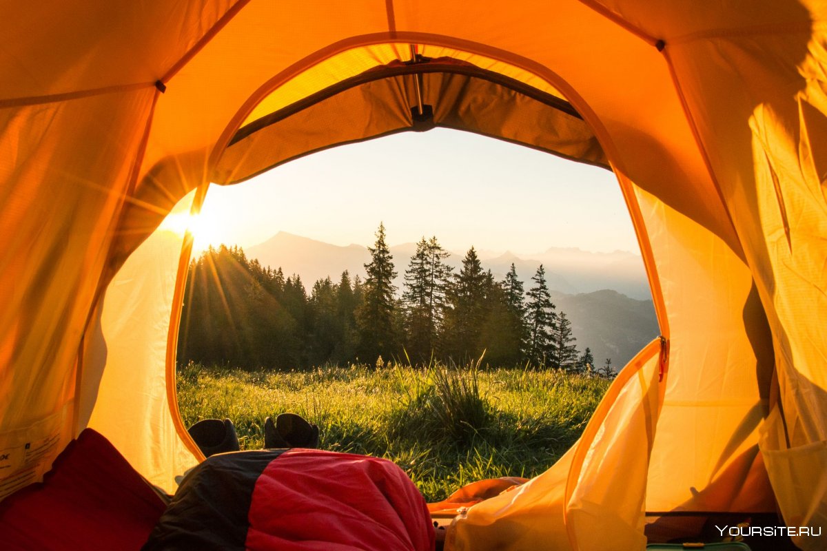 Красивый вид из палатки