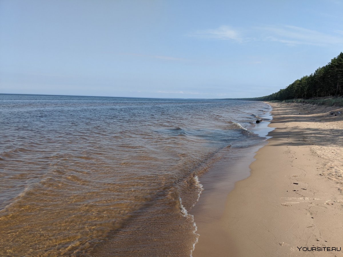 Безлюдные пляжи Ленинградской