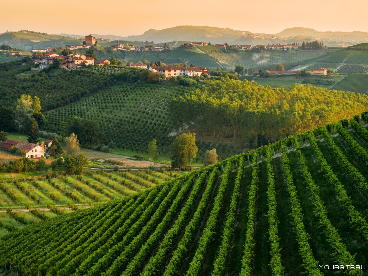 Пьемонт Италия виноградники