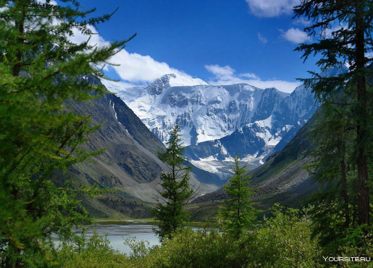 Республика Алтай природа гора Белуха