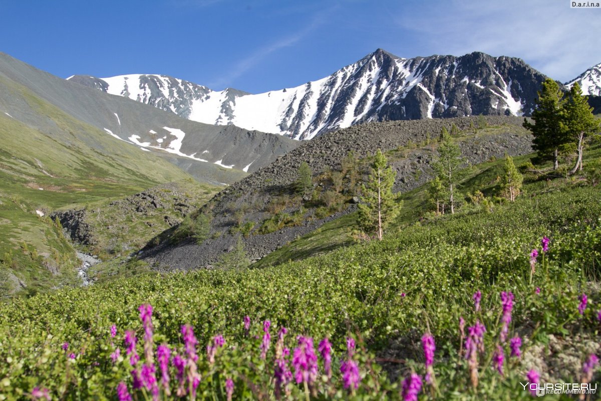 Горный Алтай гора Белуха Весна