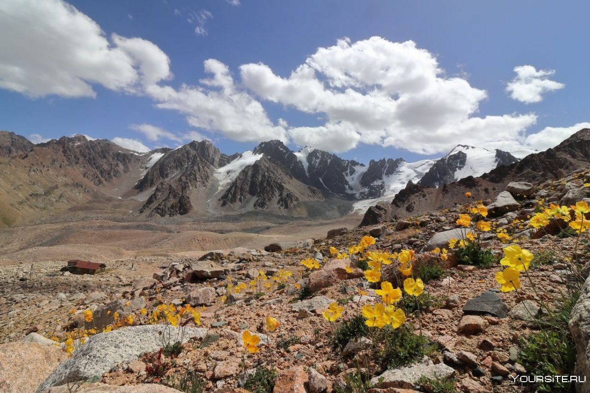 Киргизии горы путешествие