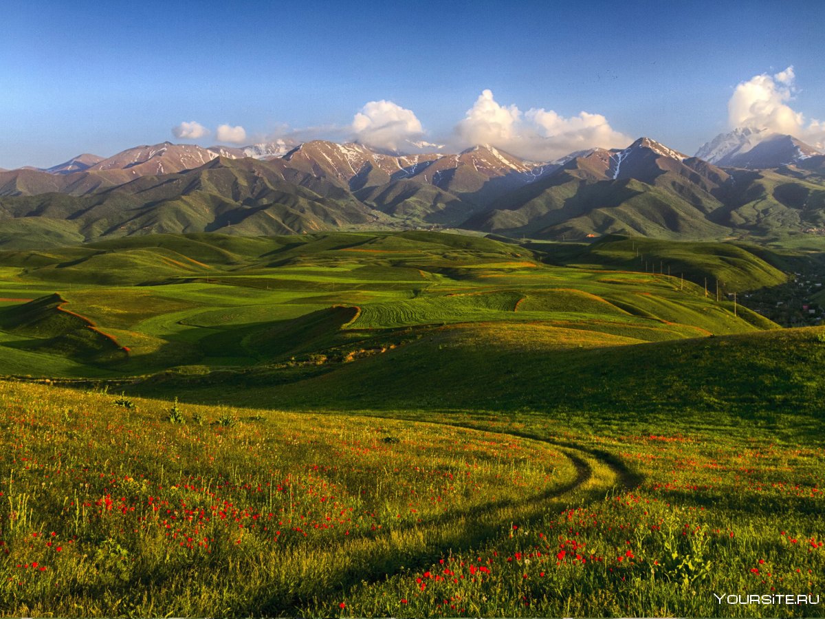 Тянь-Шаньские горы в Кыргызстане