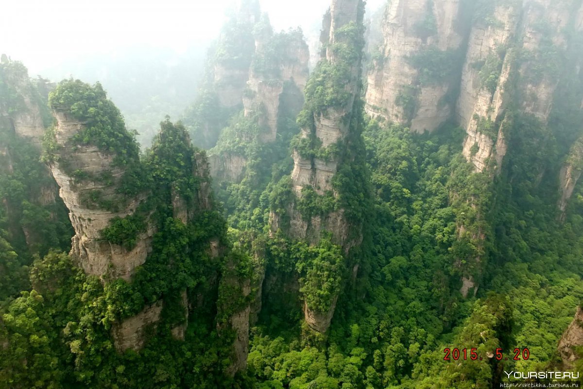 Чжанцзяцзе Китай национальный Лесной парк 1