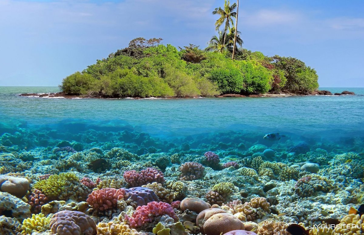 Коралловый риф остров