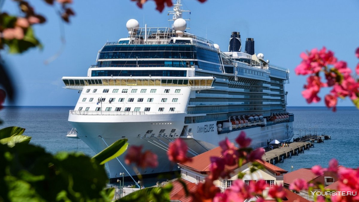 Costa Cruises, MSC Cruises, Royal Caribbean