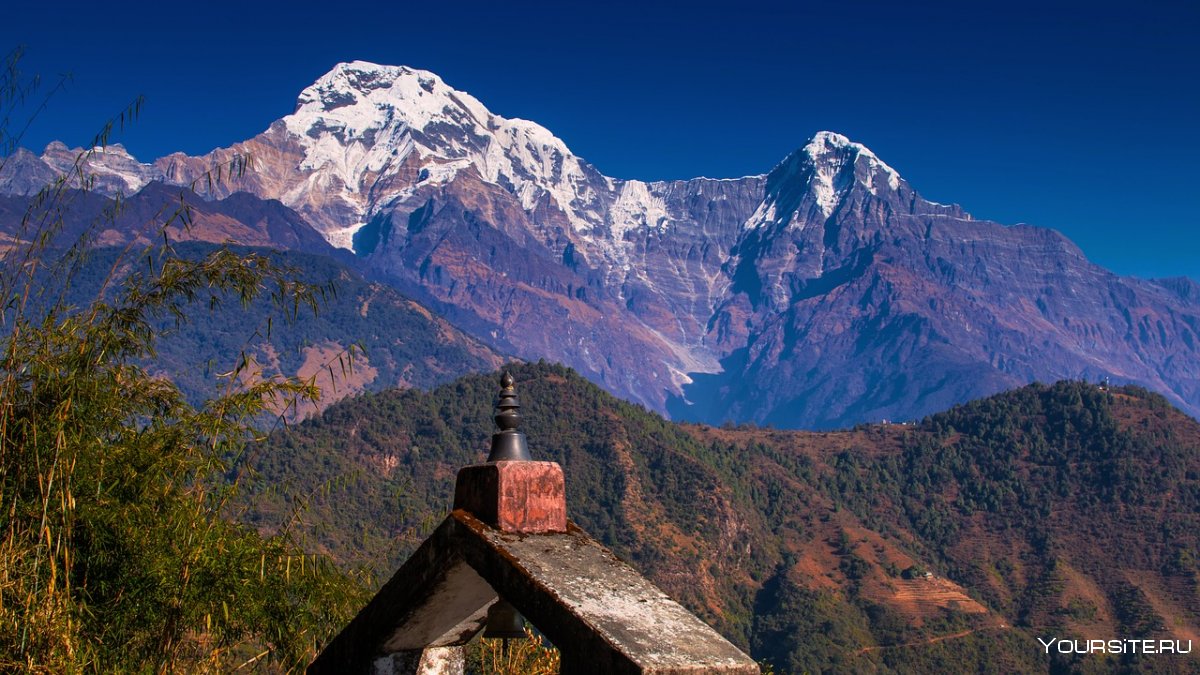 Непал терраи