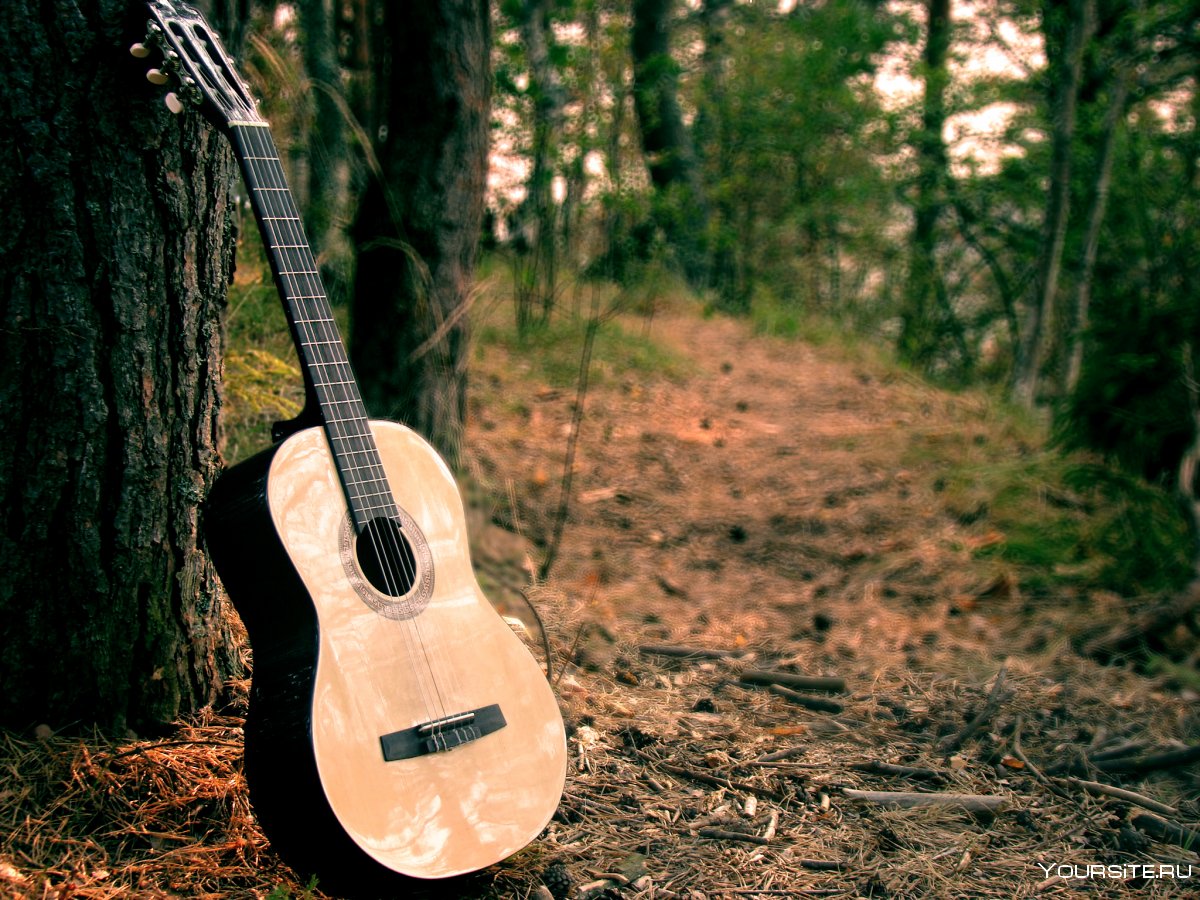 Гитара на природе